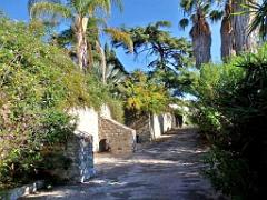 183 HYERES ET SES PALMIERS D01_000009